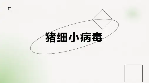 猪细小病毒
