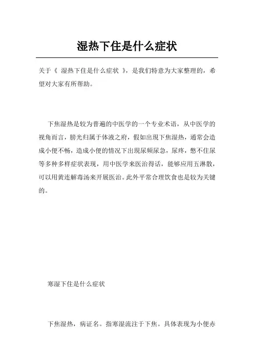 湿热下住是什么症状
