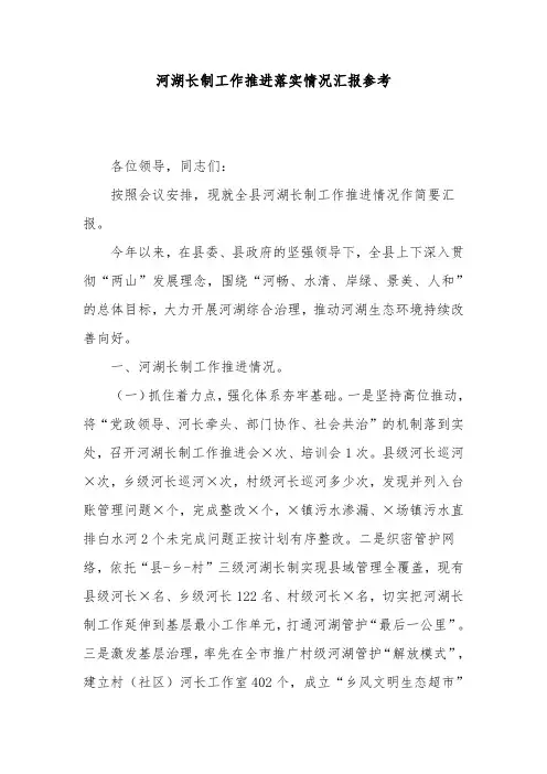 河湖长制工作推进落实情况汇报参考