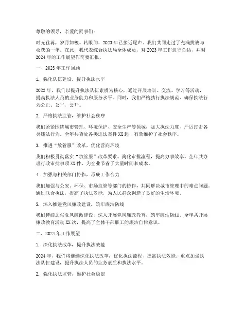 综执局年终总结
