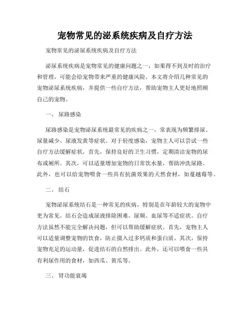 宠物常见的泌系统疾病及自疗方法
