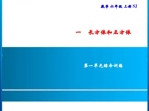 六年级上册数学习题课件-1 第一单元综合训练｜苏教版(共12张PPT)
