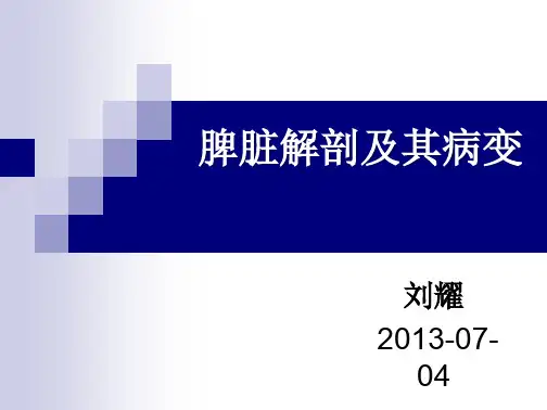 学习_脾脏解剖及病变