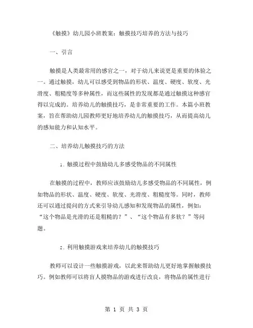 《触摸》幼儿园小班教案：触摸技巧培养的方法与技巧