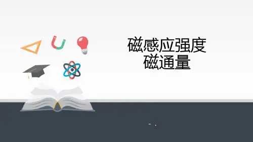 《磁感应强度 磁通量》PPT课件