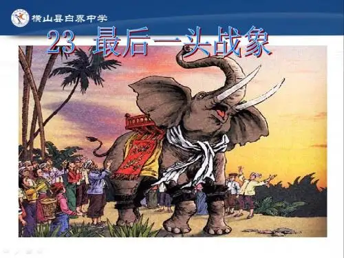 人教版六年级上册《最后一头战象》精美课件ppt