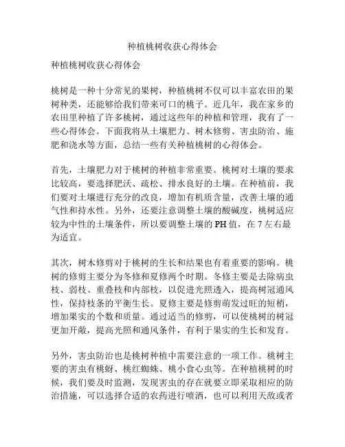 种植桃树收获心得体会