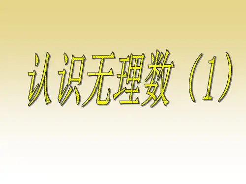 认识无理数(1)