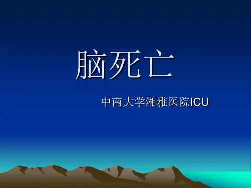 脑死亡PPT