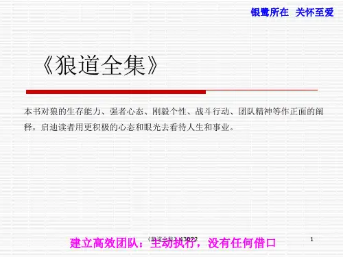 《狼道全集》43072
