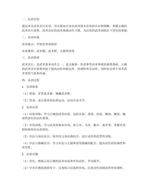 武术步行实训报告范文