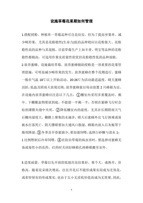设施草莓花果期如何管理
