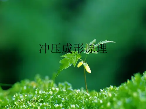 冲压成形原理