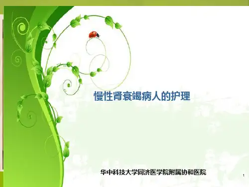 慢性肾衰竭病人的护理精品PPT课件