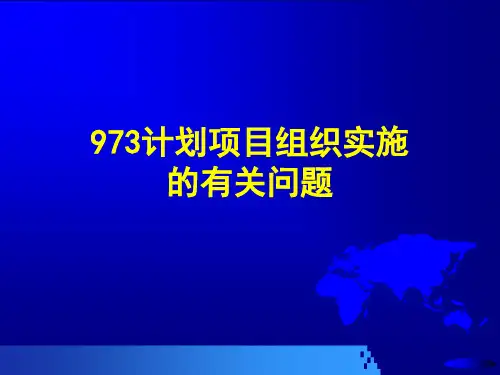 7计划项目组织实施的有关问题分析