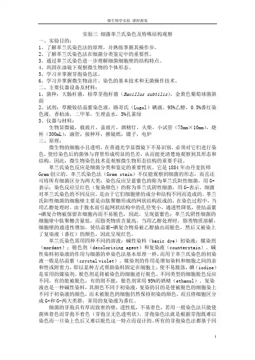 3实验三细菌革兰氏染色