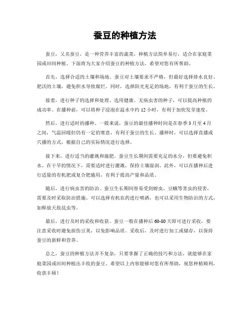 蚕豆的种植方法