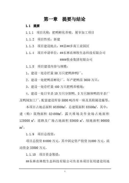 肥鸭孵化养殖、屠宰加工项目可行性研究报告