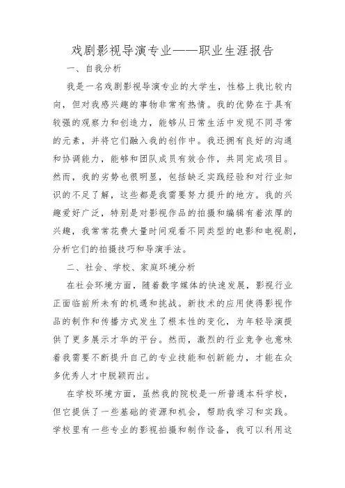 戏剧影视导演专业——职业生涯报告