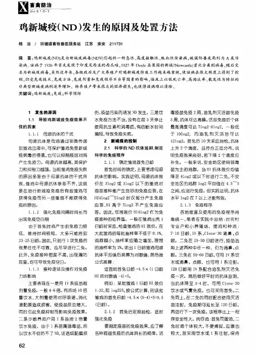 鸡新城疫(ND)发生的原因及处置方法