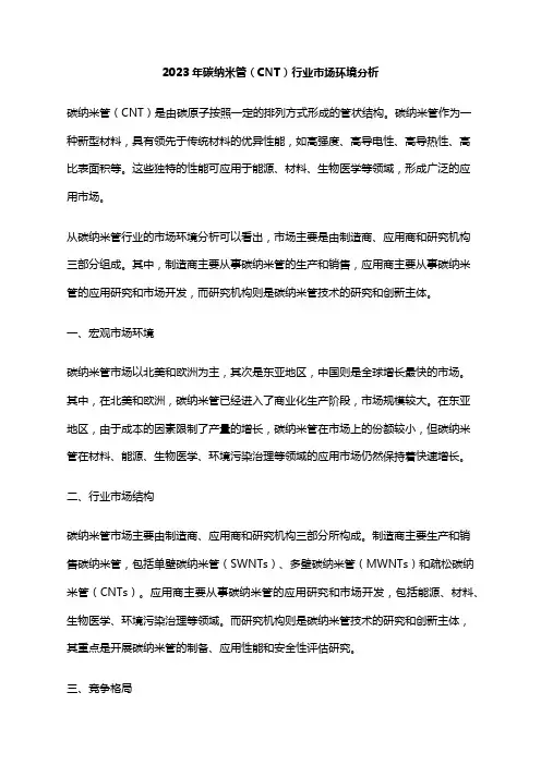 2023年碳纳米管(CNT)行业市场环境分析