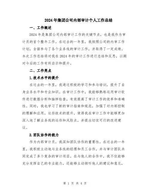 2024年集团公司内部审计个人工作总结