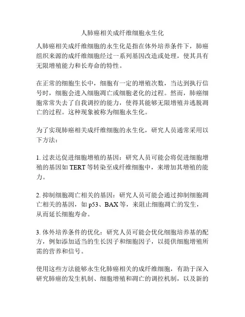 人肺癌相关成纤维细胞永生化