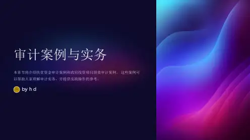 《审计案例与实务》课件第14、15章扶贫资金审计案例、政府投资项目绩效审计案例