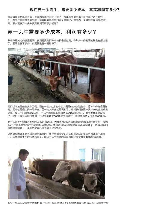 现在养一头肉牛，需要多少成本，真实利润有多少？