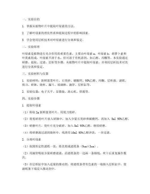 叶绿素提取实习报告