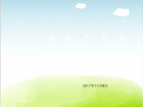 现代农业高产蔬菜培训PPT(共 31张)