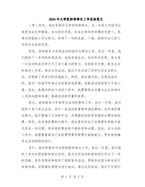 2024年大学组织部部长工作总结范文