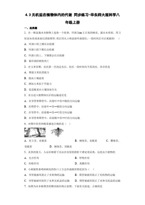 4 3无机盐在植物体内的代谢 同步练习—华东师大版科学八年级上册 