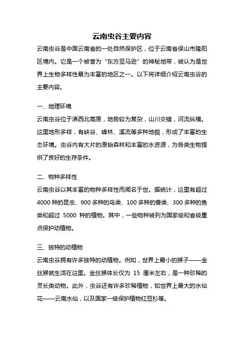 云南虫谷主要内容