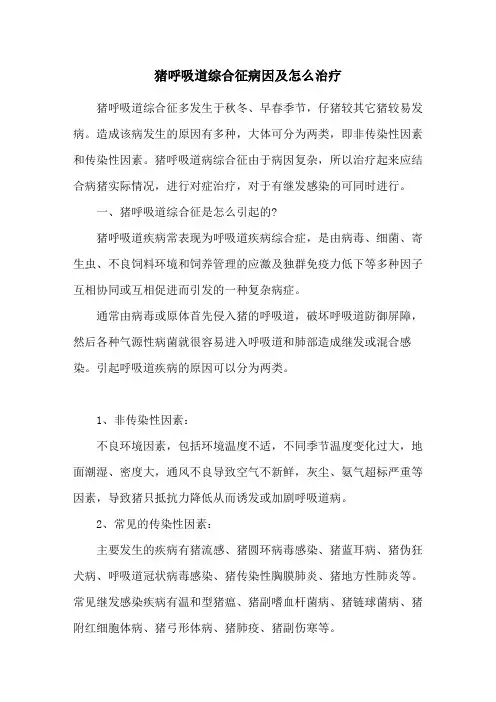 猪呼吸道综合征病因及怎么治疗