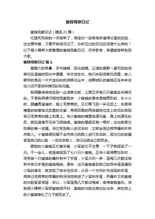 蜜蜂观察日记（精选21篇）