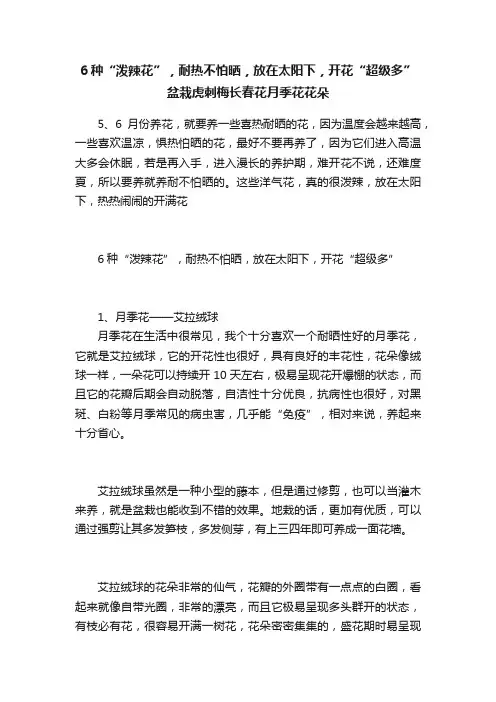 6种“泼辣花”，耐热不怕晒，放在太阳下，开花“超级多”盆栽虎刺梅长春花月季花花朵