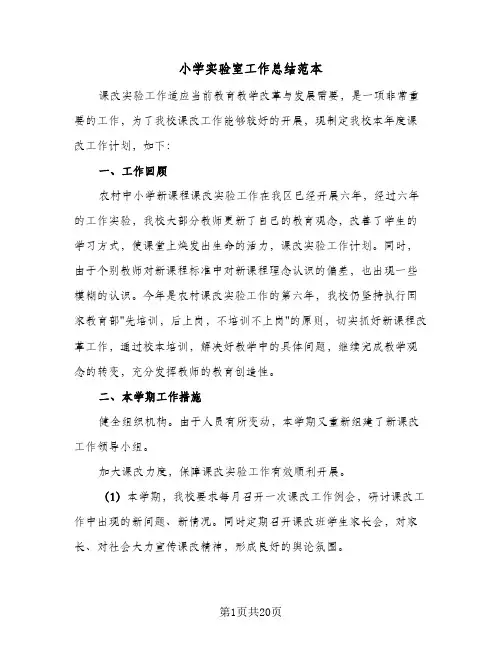 2024年小学实验室工作总结范本（6篇）