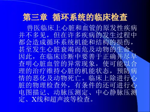 循环系统检查