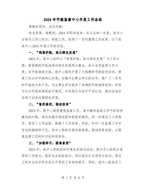 2024年节能监察中心年度工作总结（2篇）