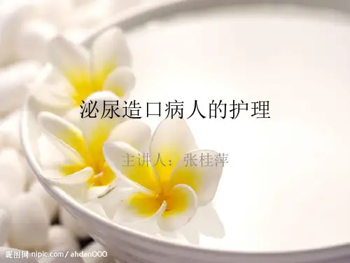 泌尿造口病人的护理