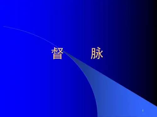 督脉穴ppt课件