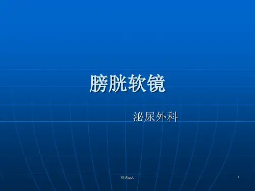 膀胱软镜