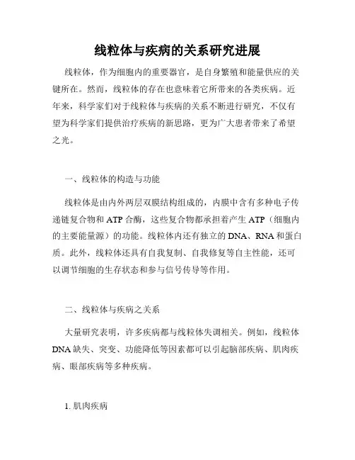 线粒体与疾病的关系研究进展