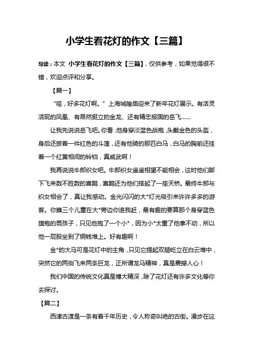 小学生看花灯的作文【三篇】
