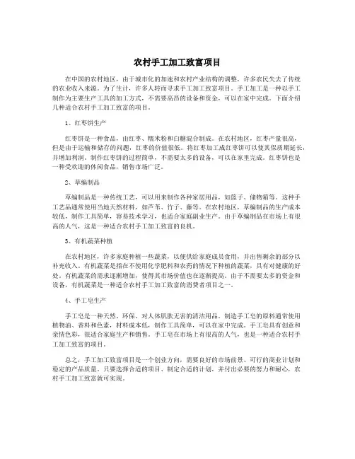 农村手工加工致富项目