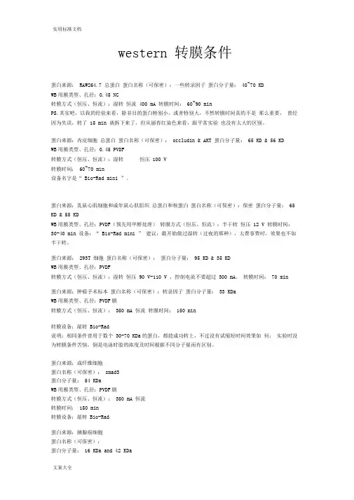 western转膜条件