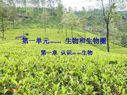 中考生物 第一单元 生物和生物圈 第一章认识生物复习课件