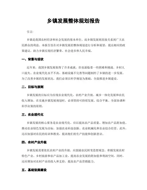 乡镇发展整体规划报告