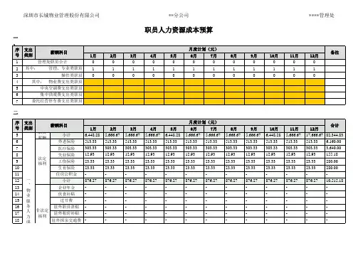 人力资源成本预算表
